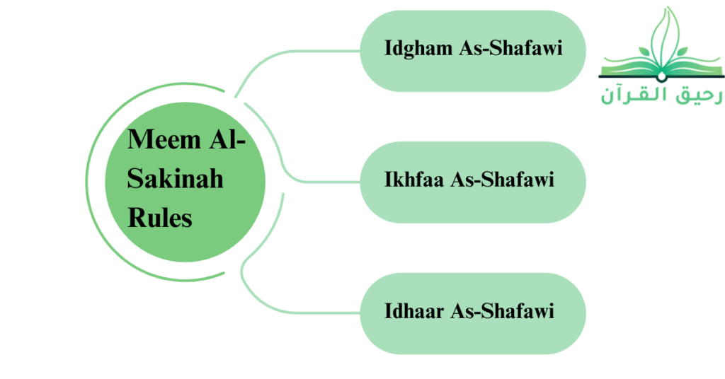 Learn Quran with Tajweed Master Meem Al-Sakinah Rules
